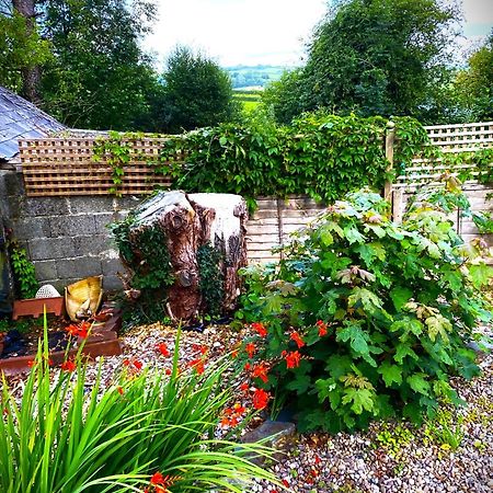 Bed and Breakfast Heddfan Llanboidy Экстерьер фото