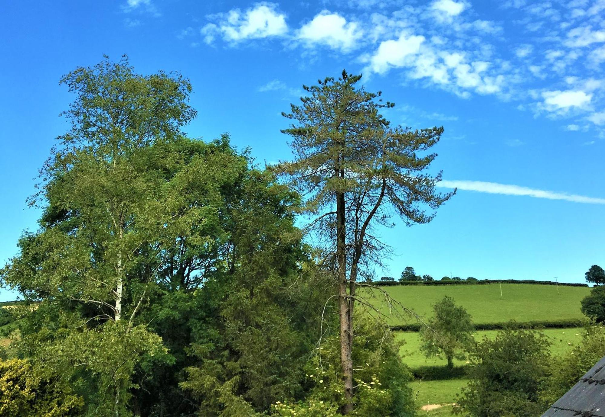 Bed and Breakfast Heddfan Llanboidy Экстерьер фото
